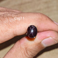Star Garnet kabochon Csg11 – természetes csillag gránát kő kézben tartva, sötét bordó szín
