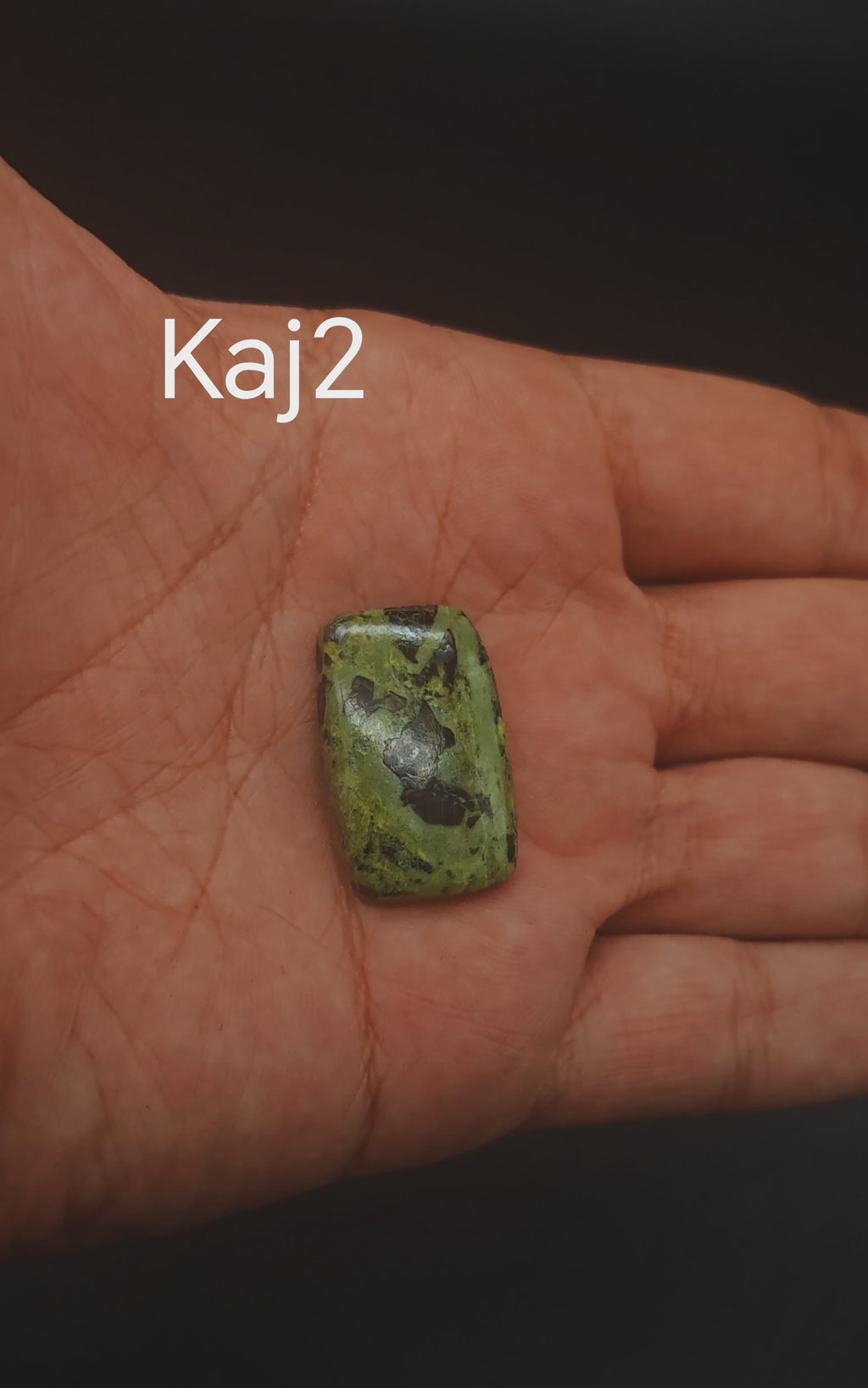 Kambaba Jasper Cabochon - Kaj2