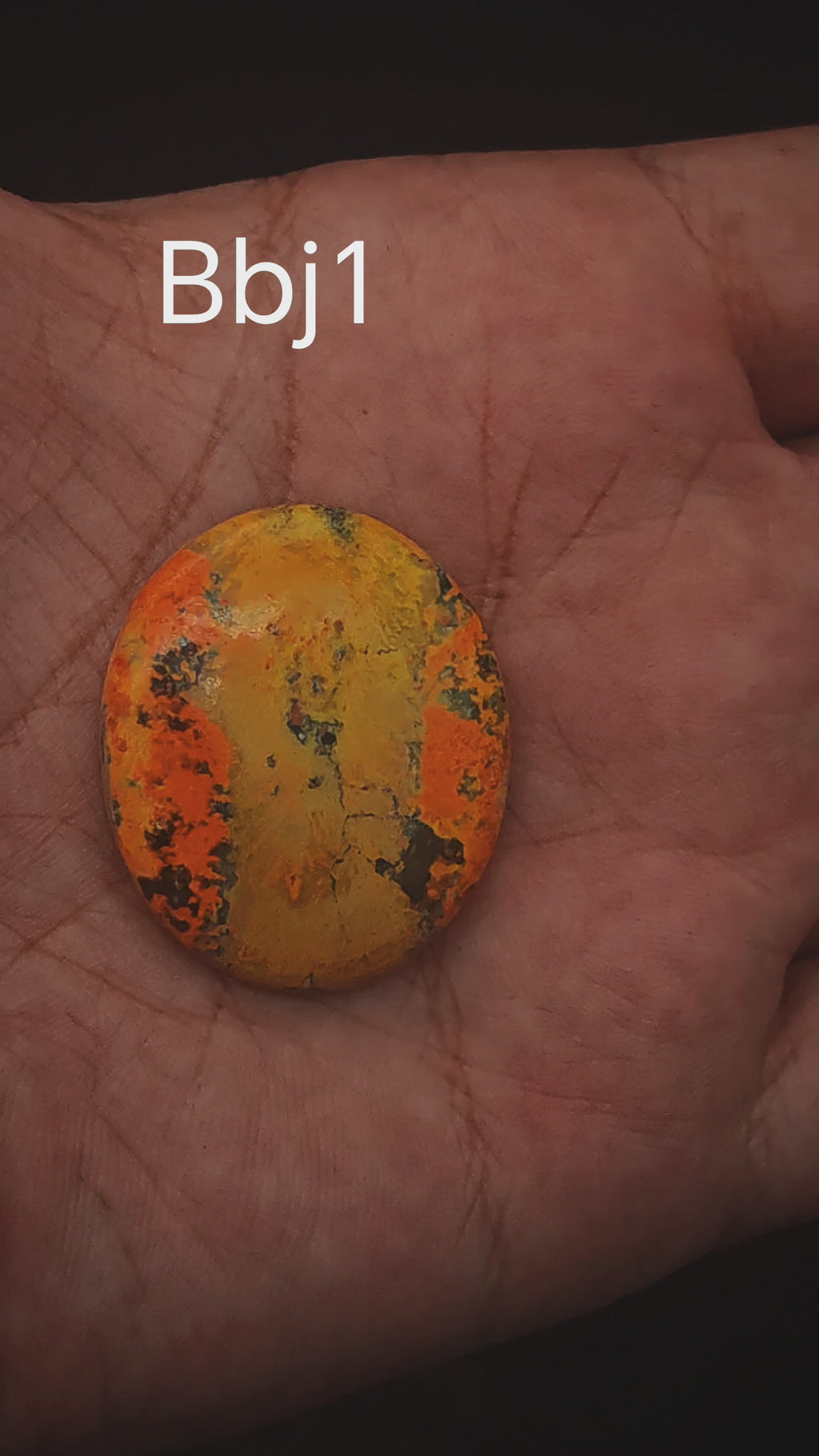 BumbleBee Jasper Cabochon - Bbj1