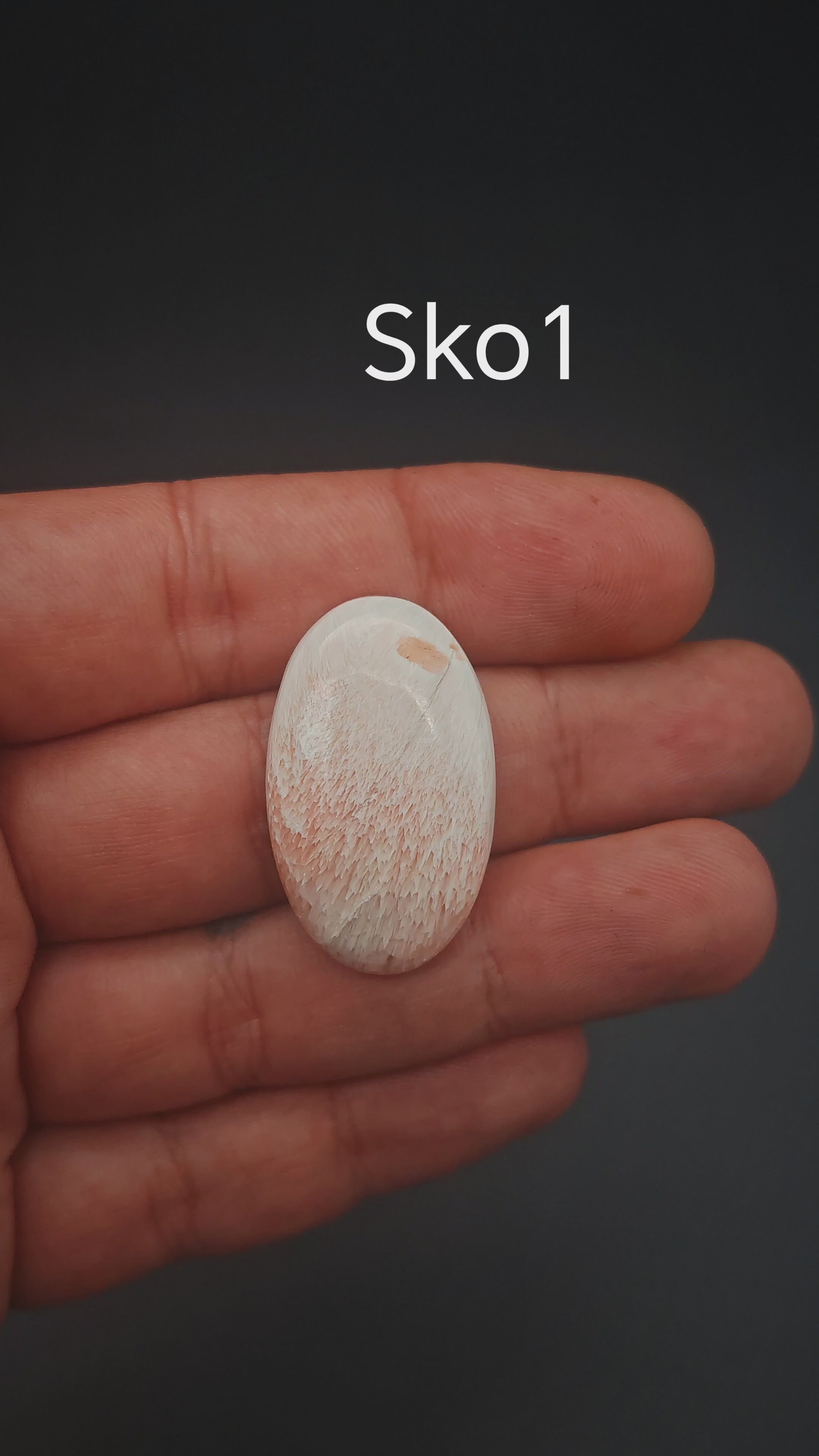 Skolecit kaboson – sko1